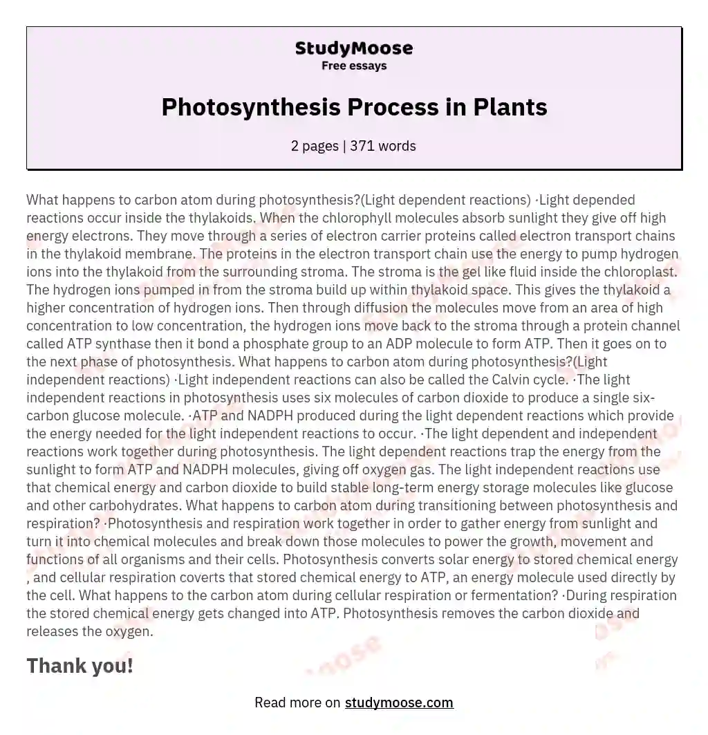 Photosynthesis Process in Plants essay