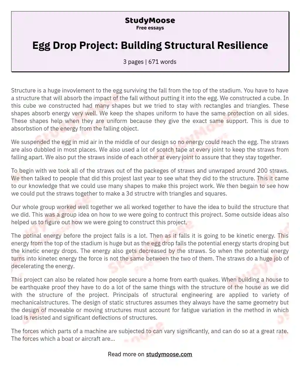 Egg Drop Project: Building Structural Resilience essay