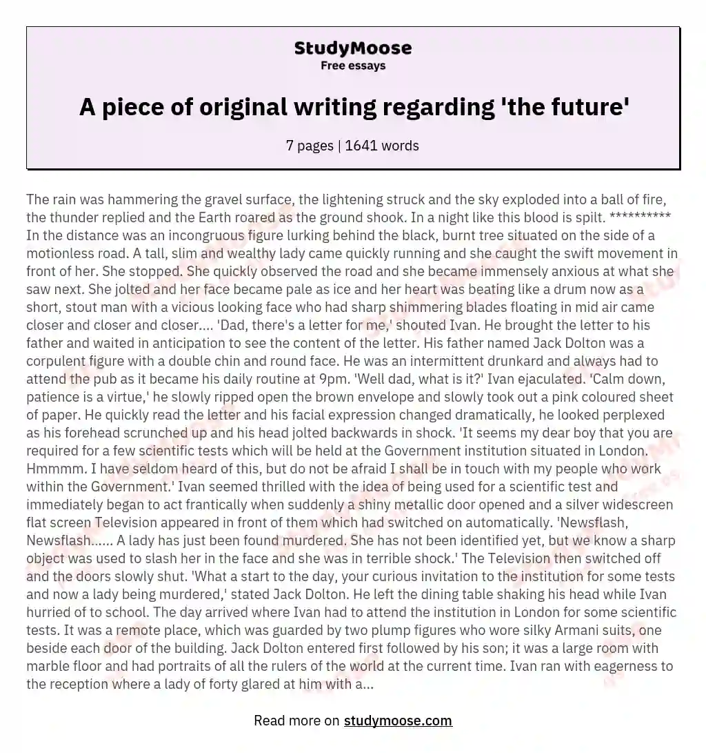 A piece of original writing regarding 'the future' essay