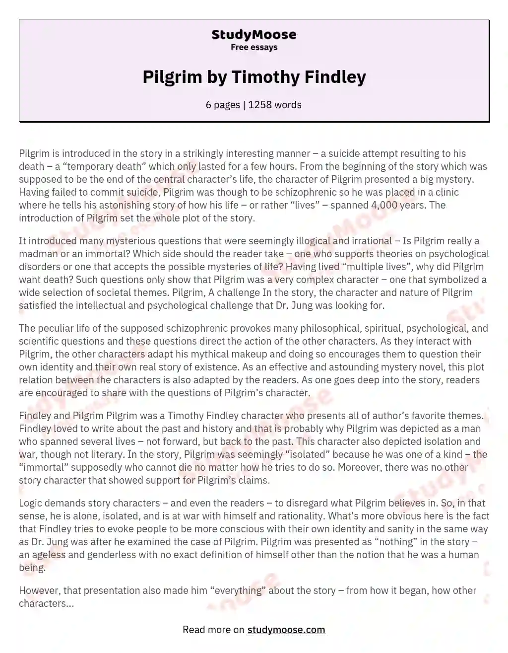 Pilgrim by Timothy Findley essay
