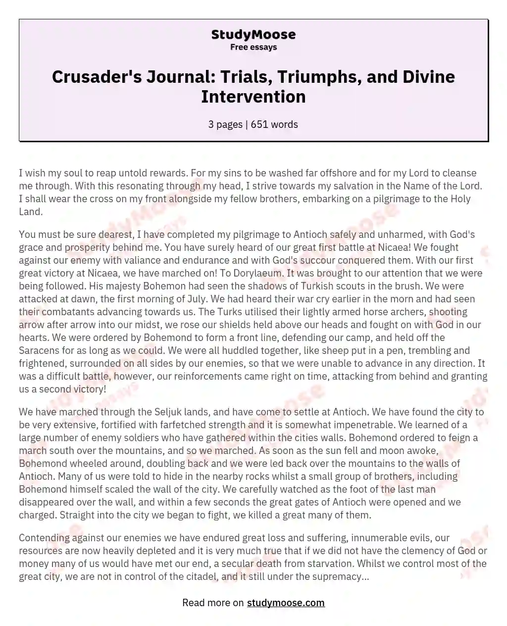Crusader's Journal: Trials, Triumphs, and Divine Intervention essay