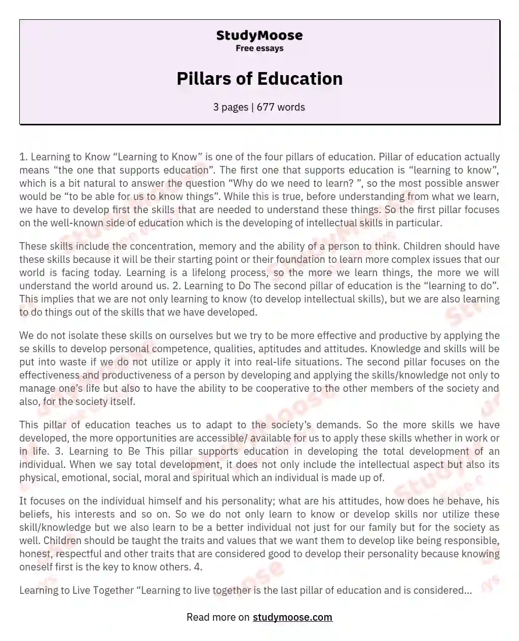 Pillars of Education essay