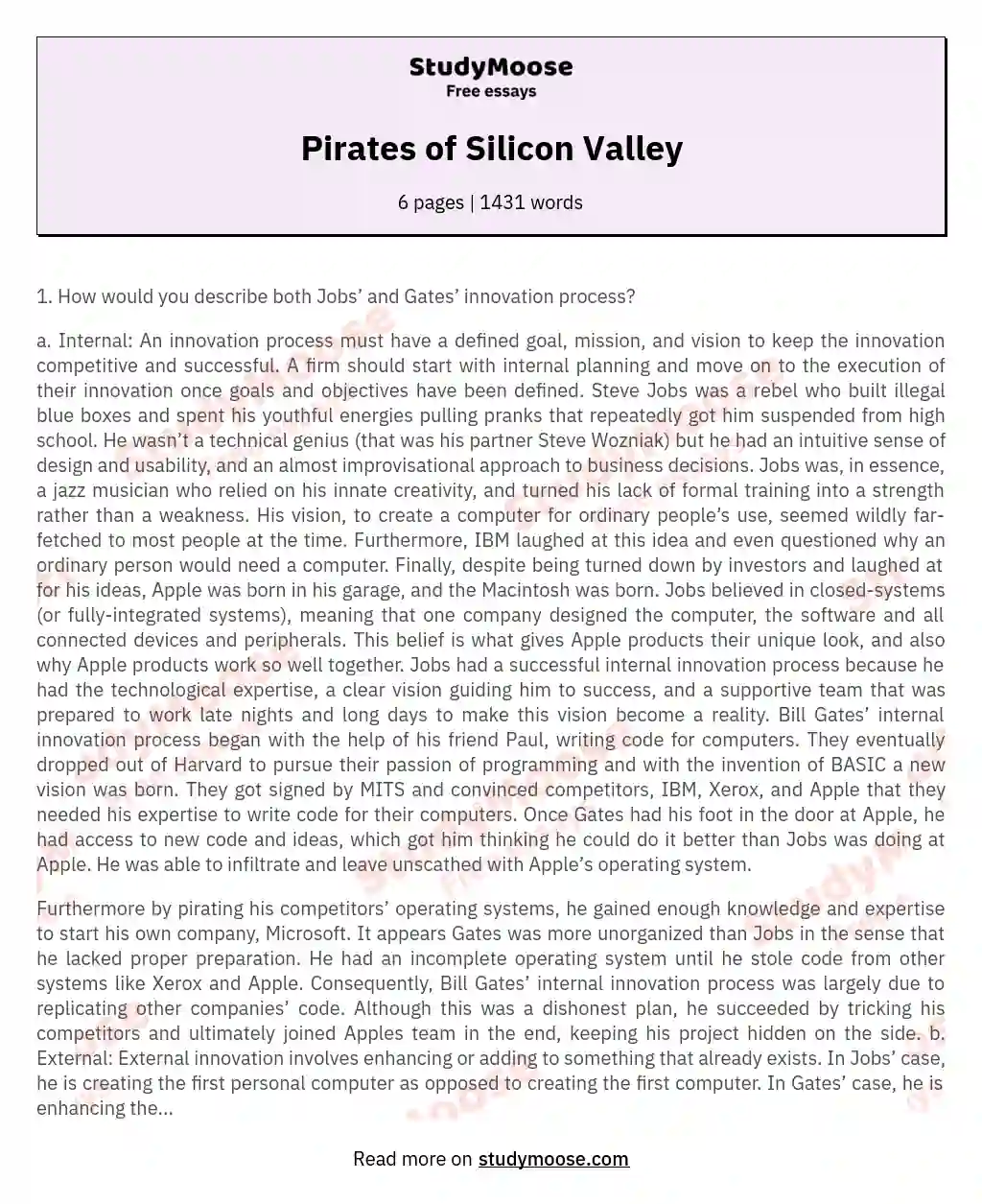 Pirates of Silicon Valley essay