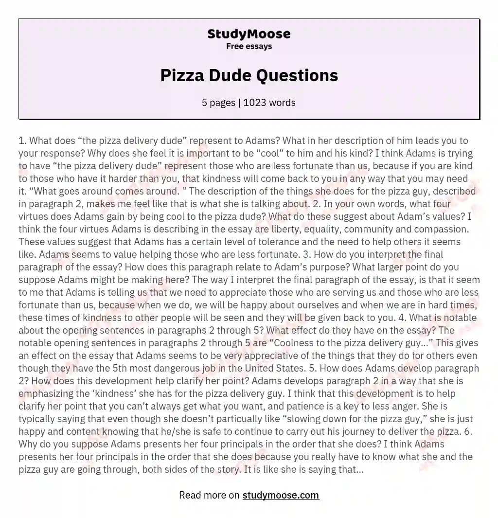 Pizza Dude Questions