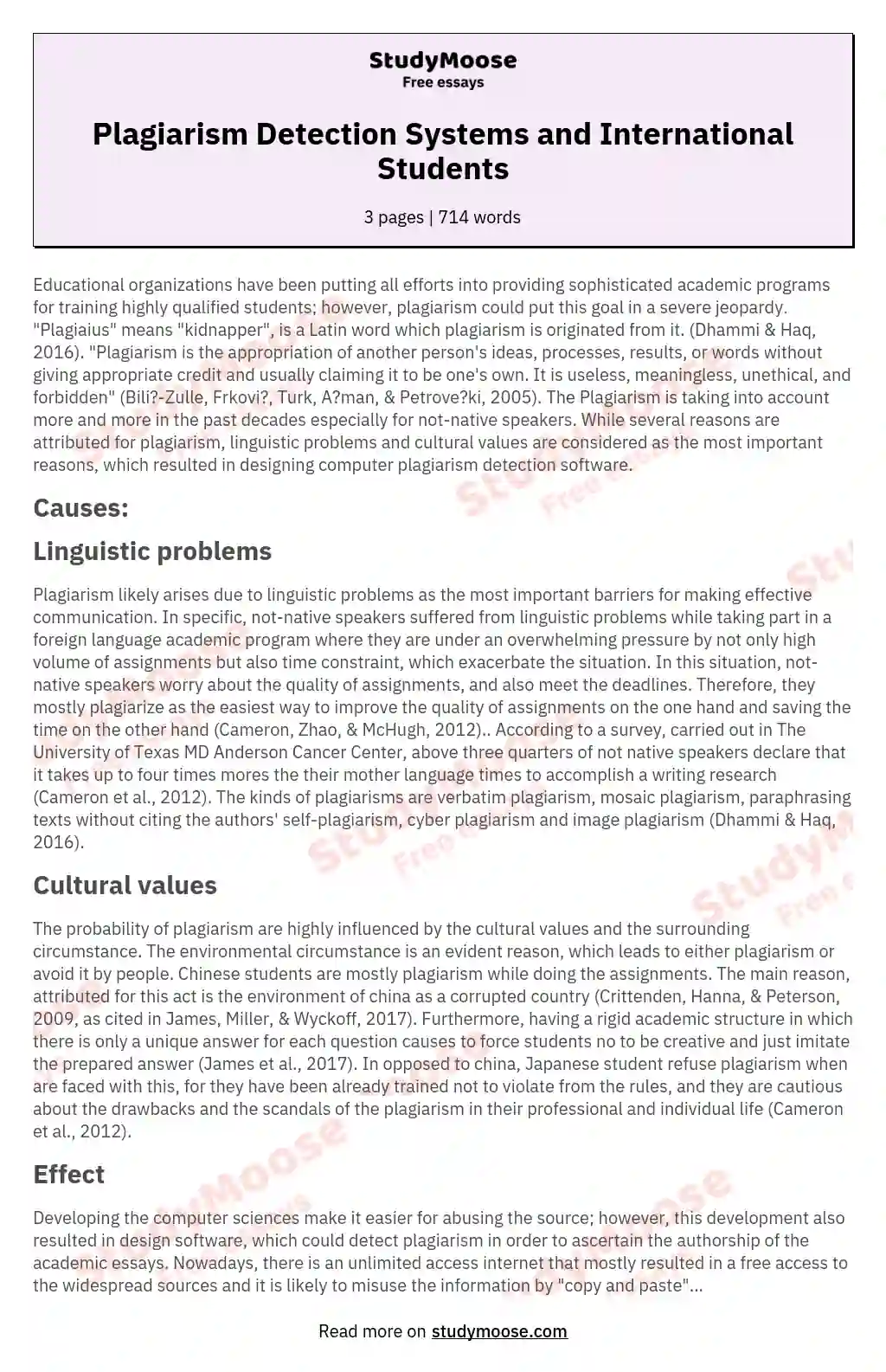 Plagiarism Detection Systems and International Students essay