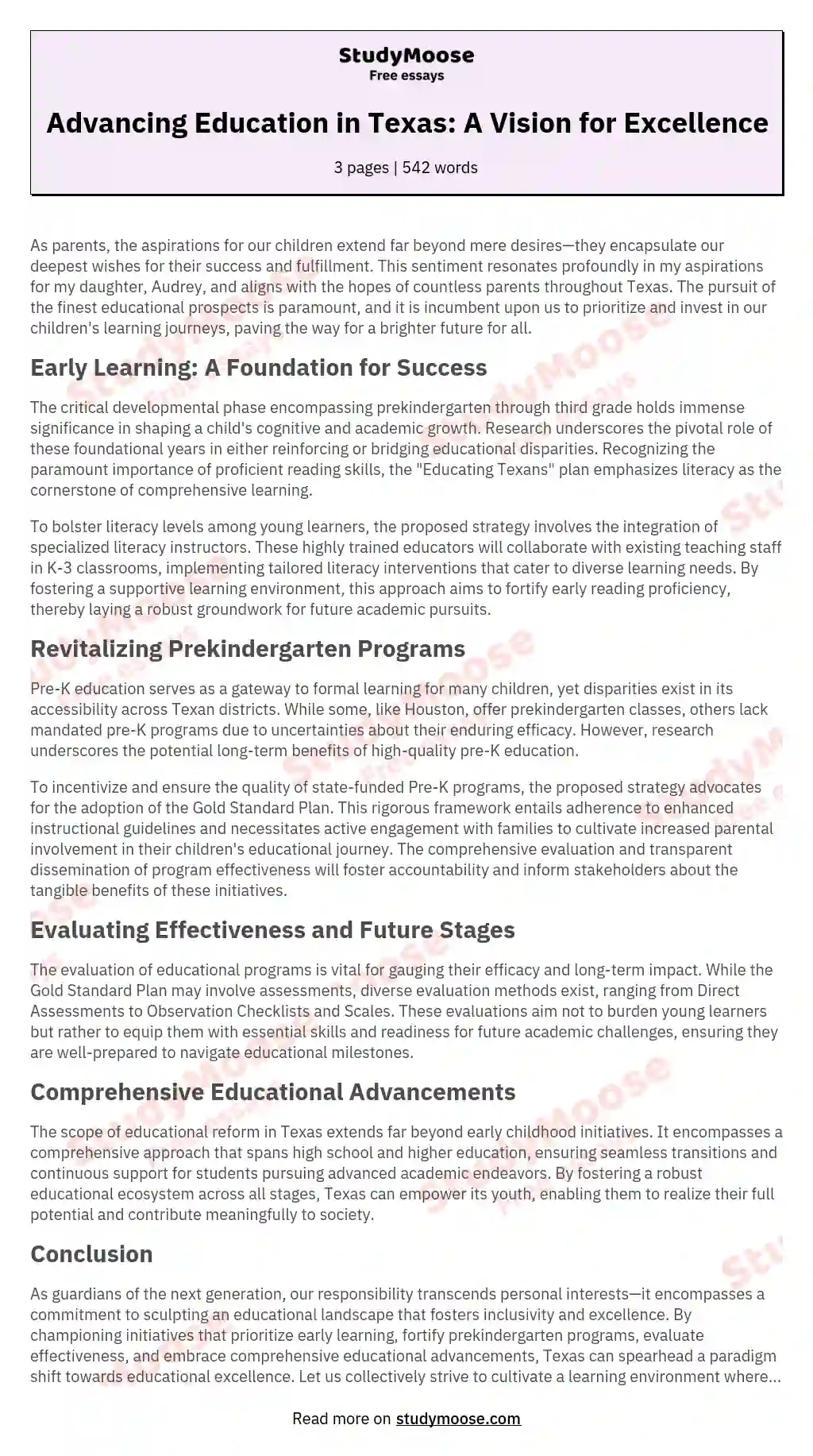 Advancing Education in Texas: A Vision for Excellence essay