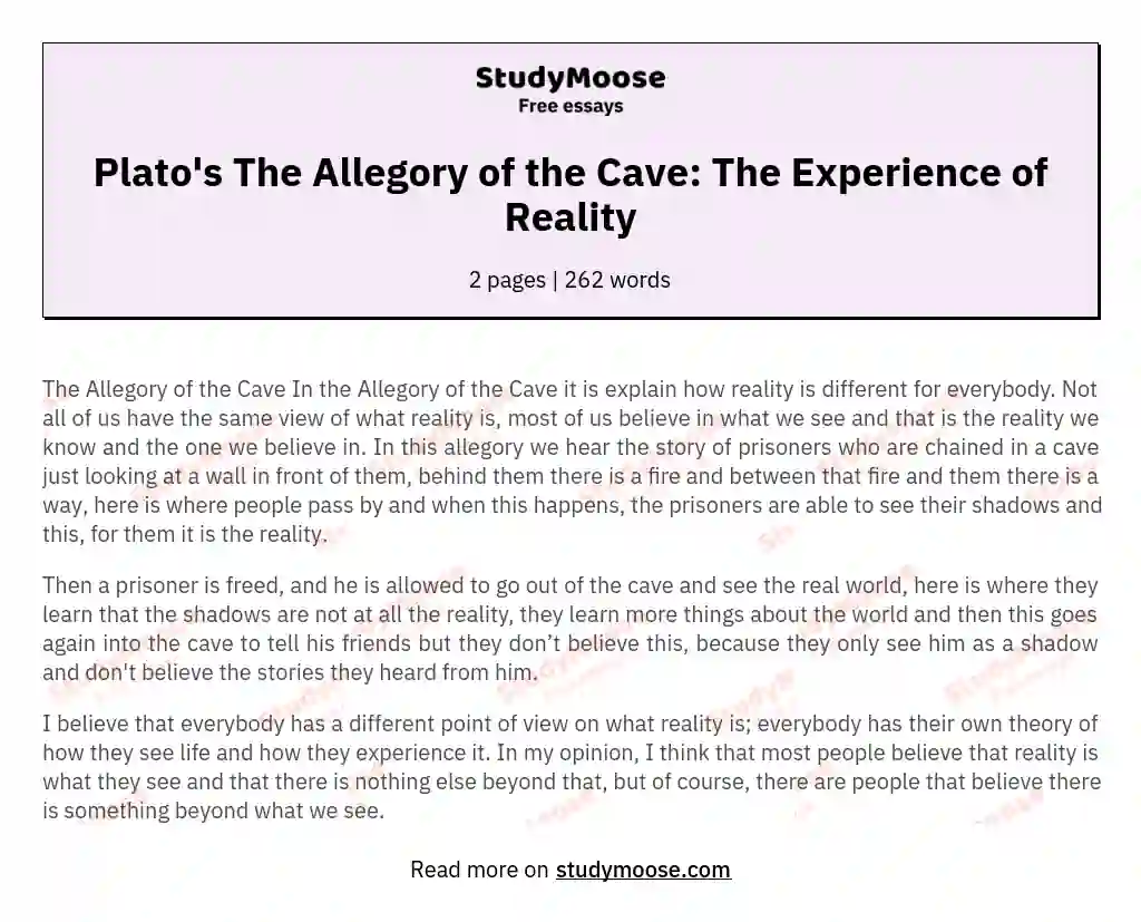 Plato's The Allegory of the Cave: The Experience of Reality essay