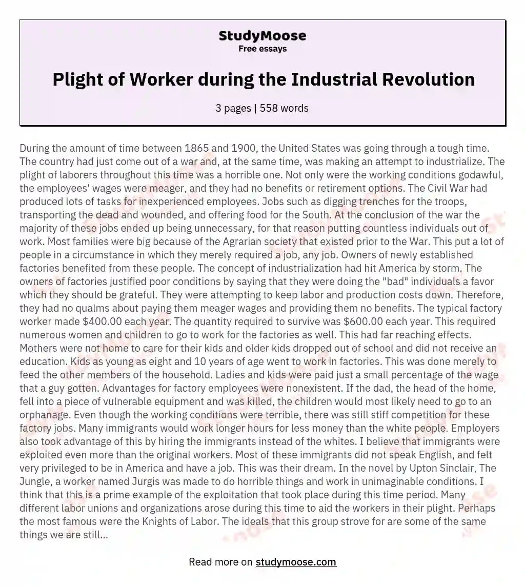 Plight of Worker during the Industrial Revolution