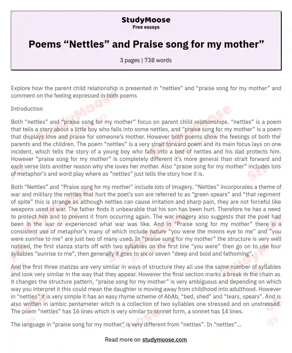 Poems “Nettles” and Praise song for my mother” essay
