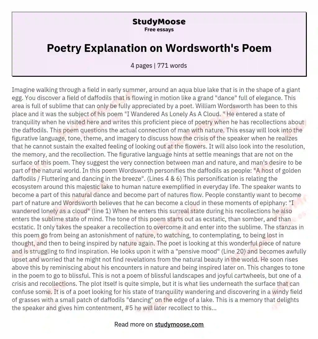 Poetry Explanation on Wordsworth's Poem essay