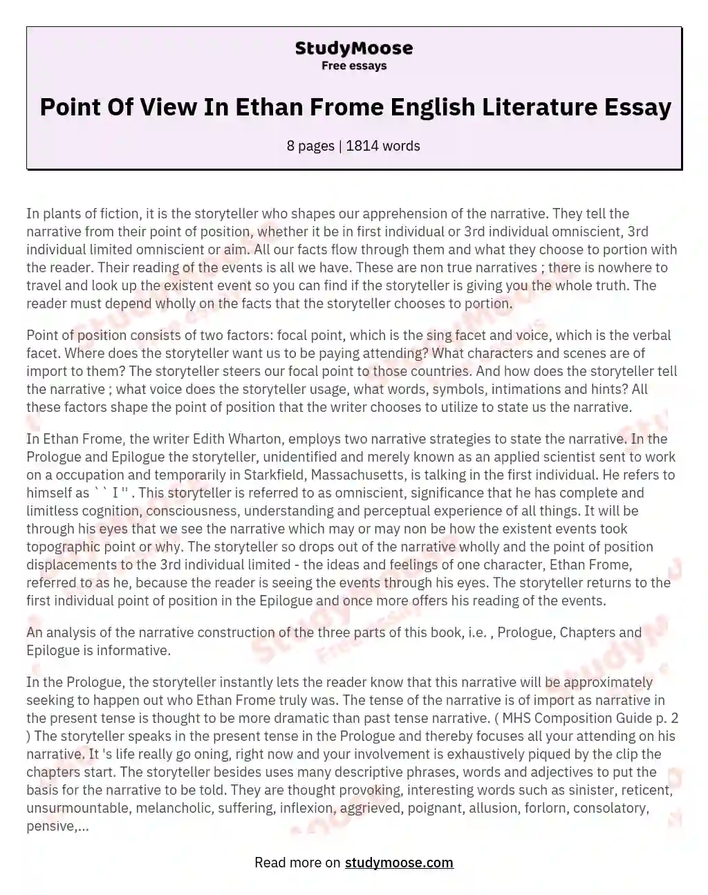 Point Of View In Ethan Frome English Literature Essay essay