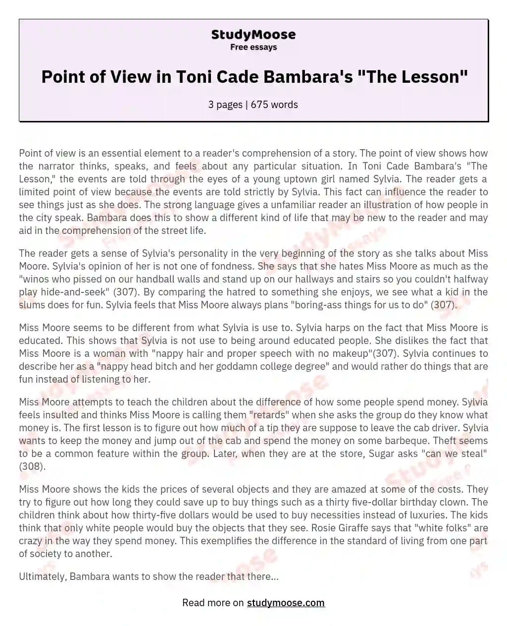 Point of View in Toni Cade Bambara's "The Lesson"