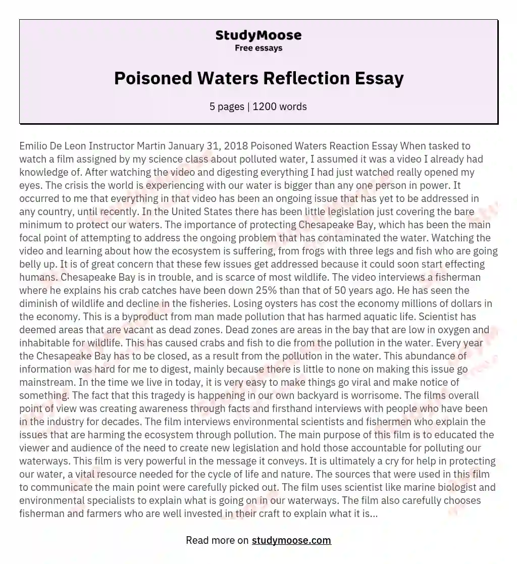 Poisoned Waters Reflection Essay