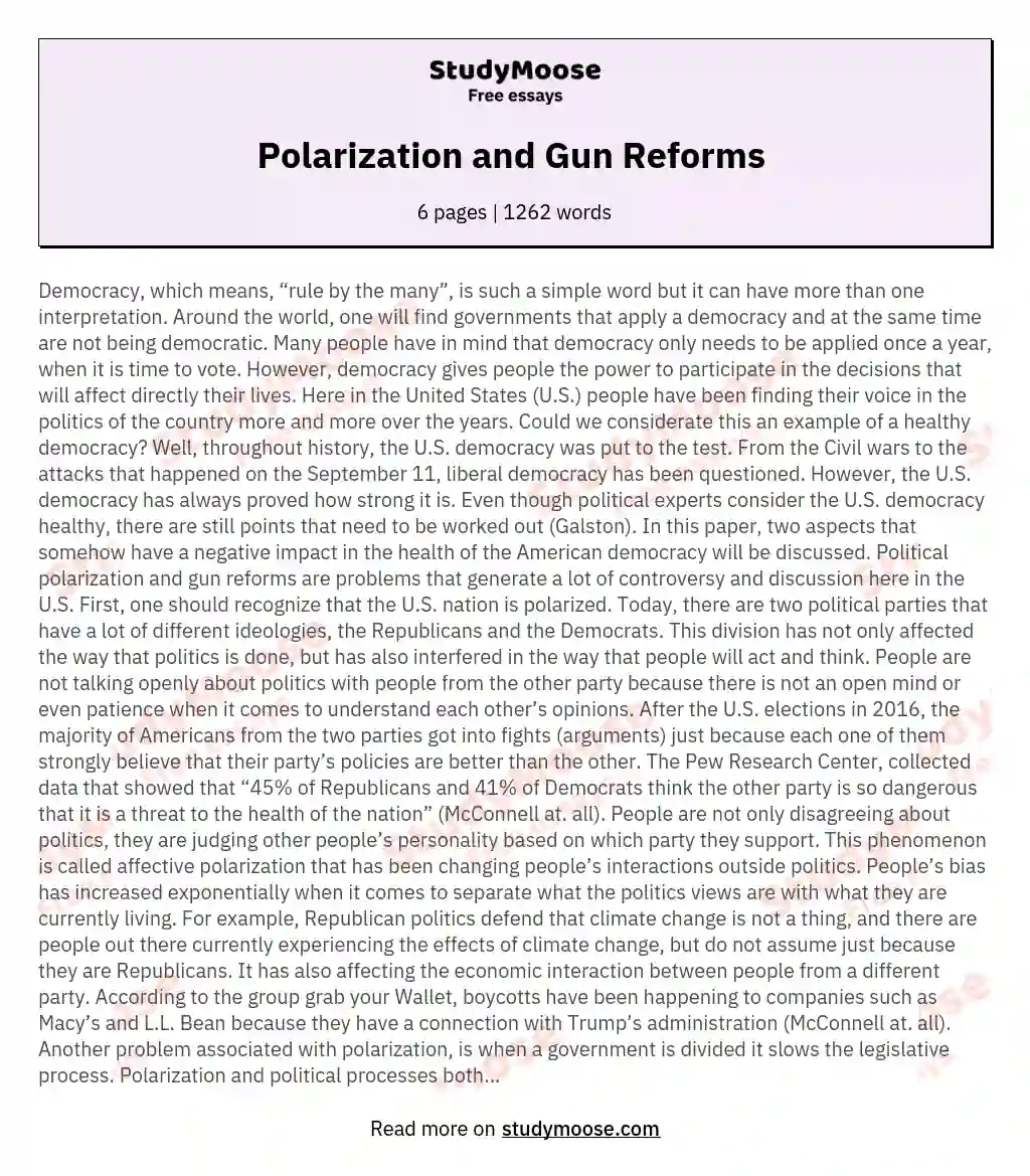 Polarization and Gun Reforms  essay
