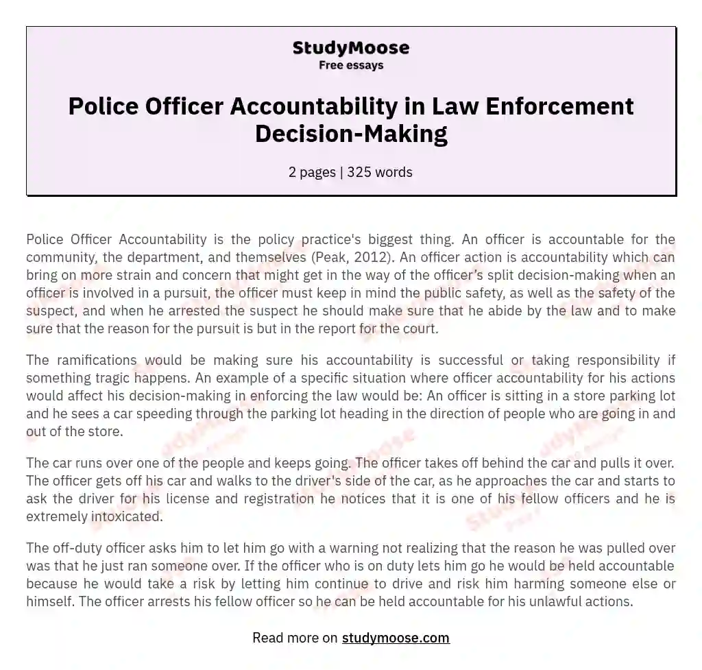 Police Officer Accountability in Law Enforcement Decision-Making essay