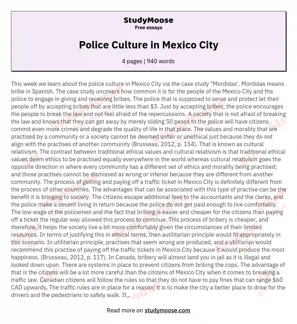 Police Culture in Mexico City essay