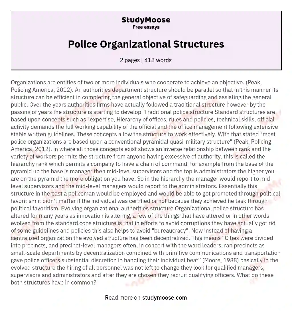 Police Organizational Structures essay