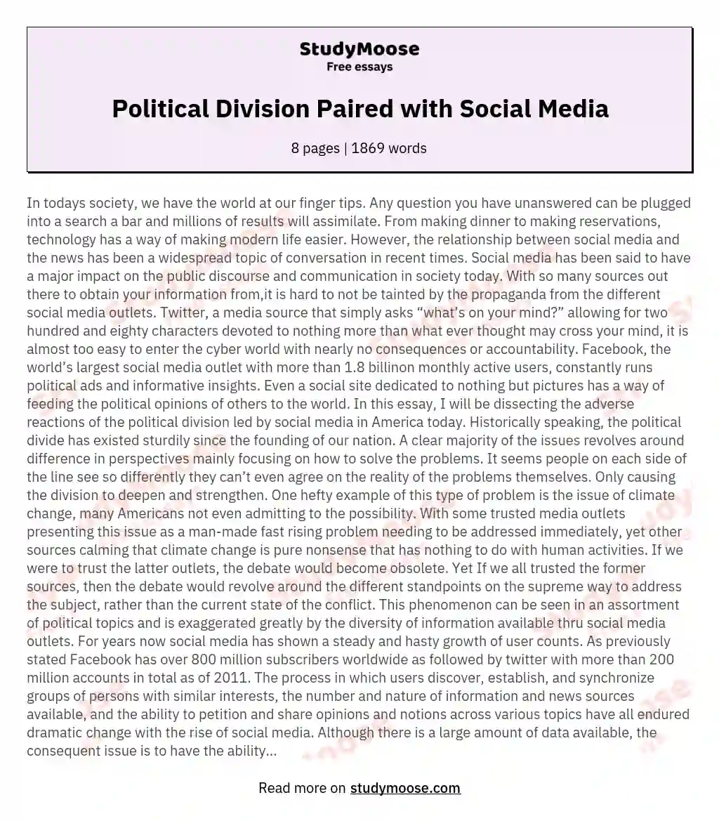 political division essay