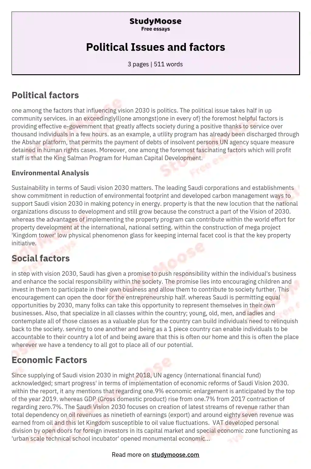 Political Issues and factors essay