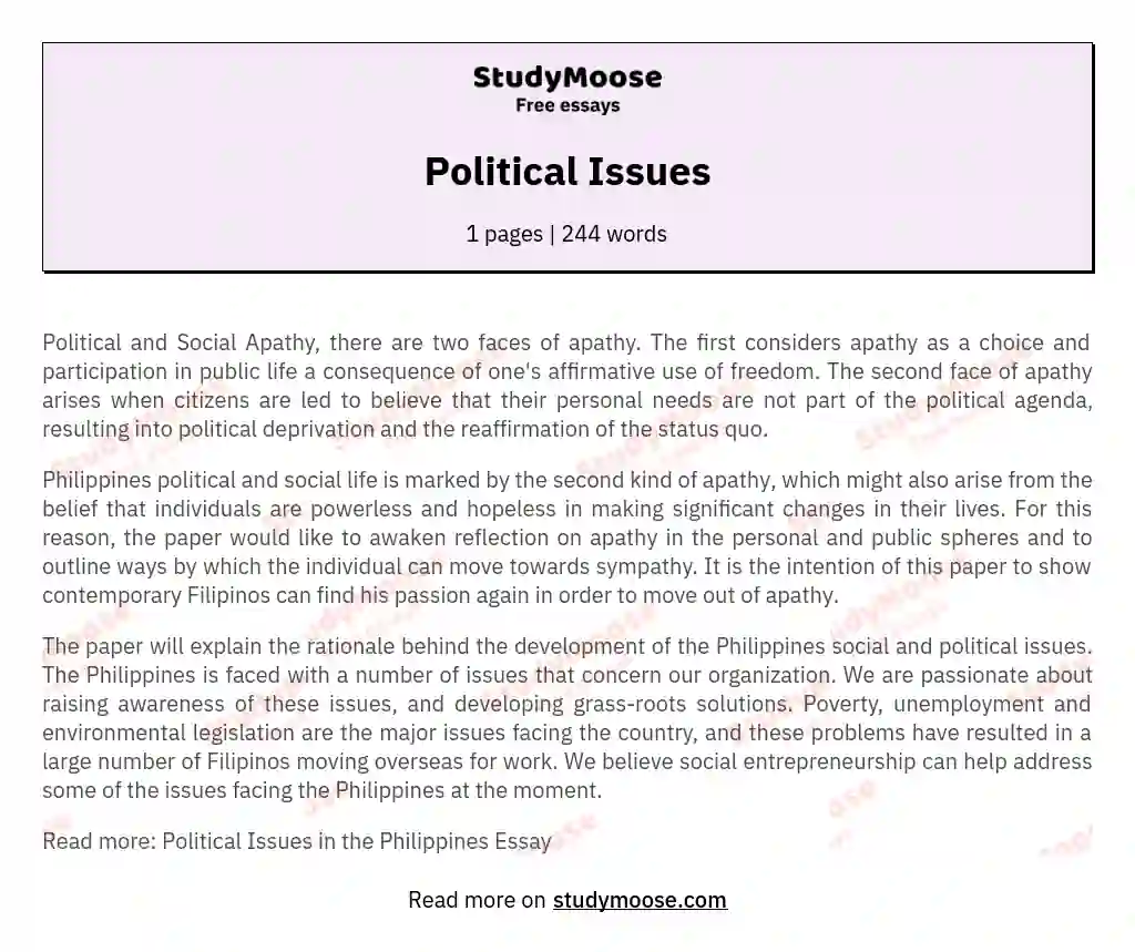 Political Issues essay