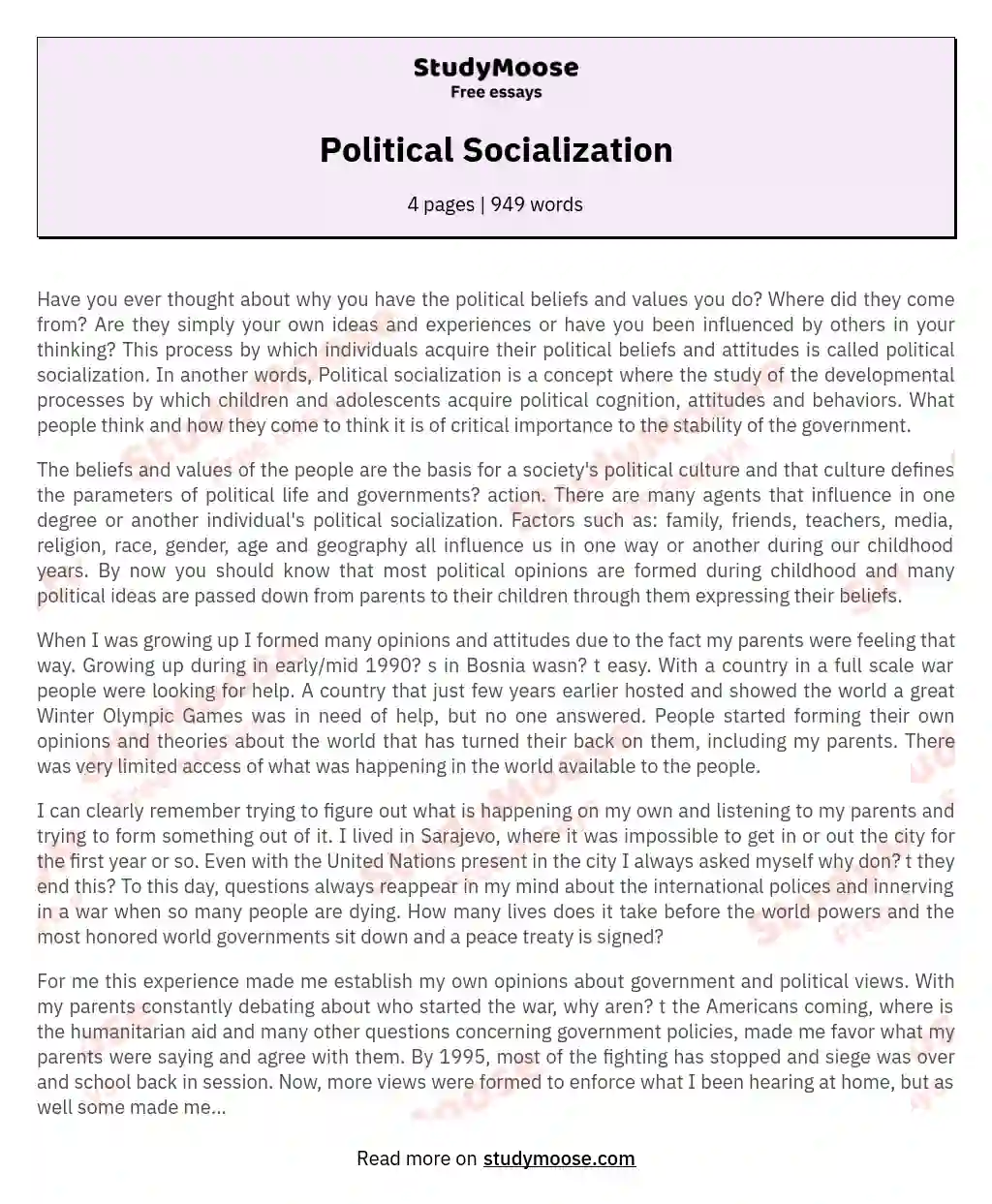 Political Socialization essay