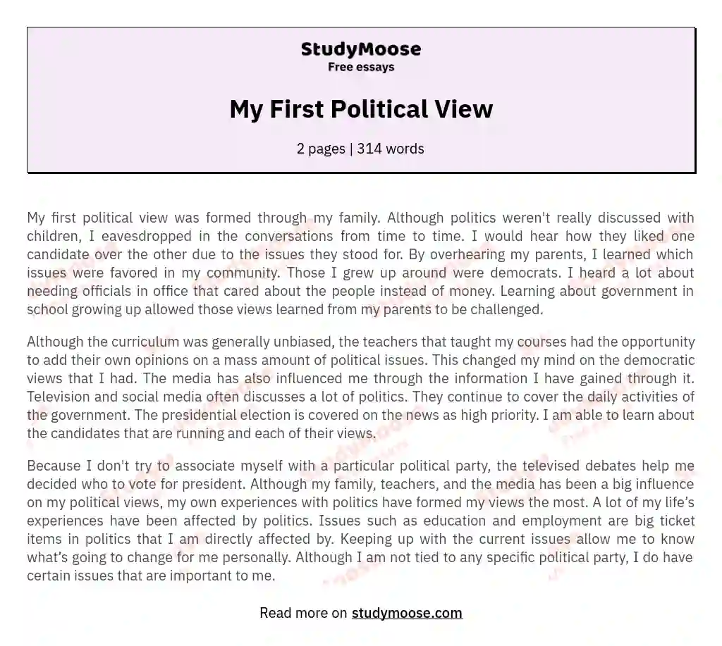 my-first-political-view-free-essay-example