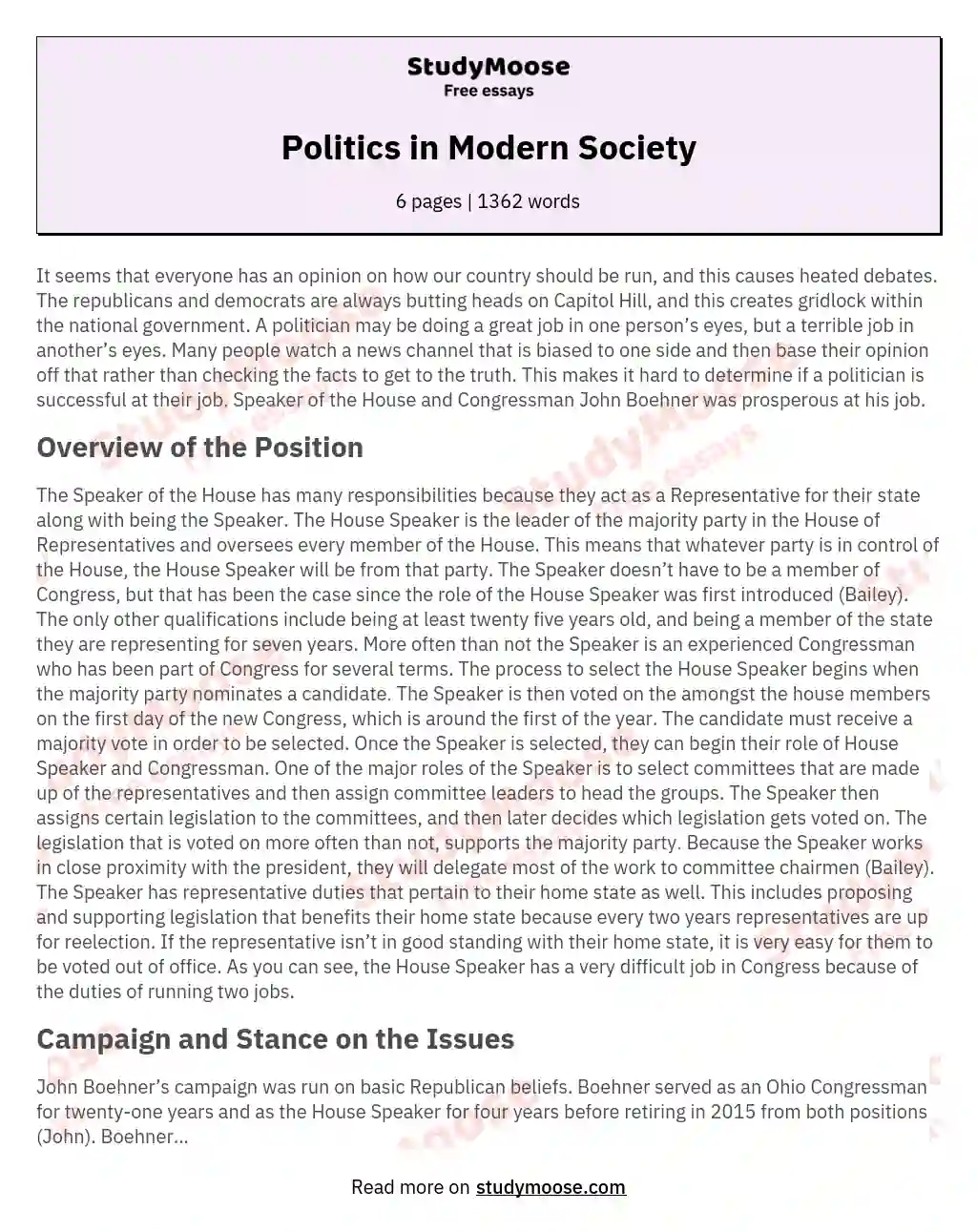 Politics in Modern Society essay