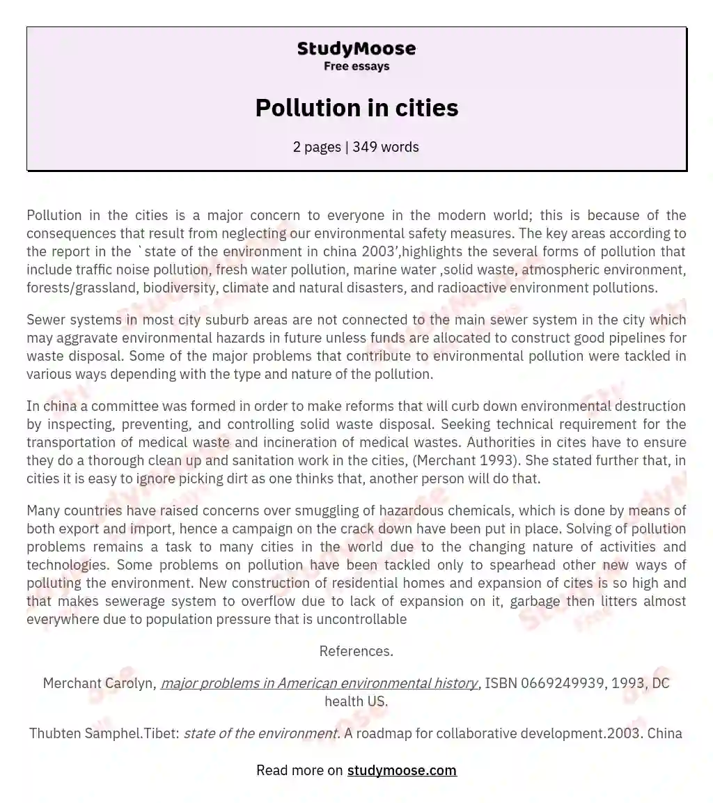 Pollution in cities essay