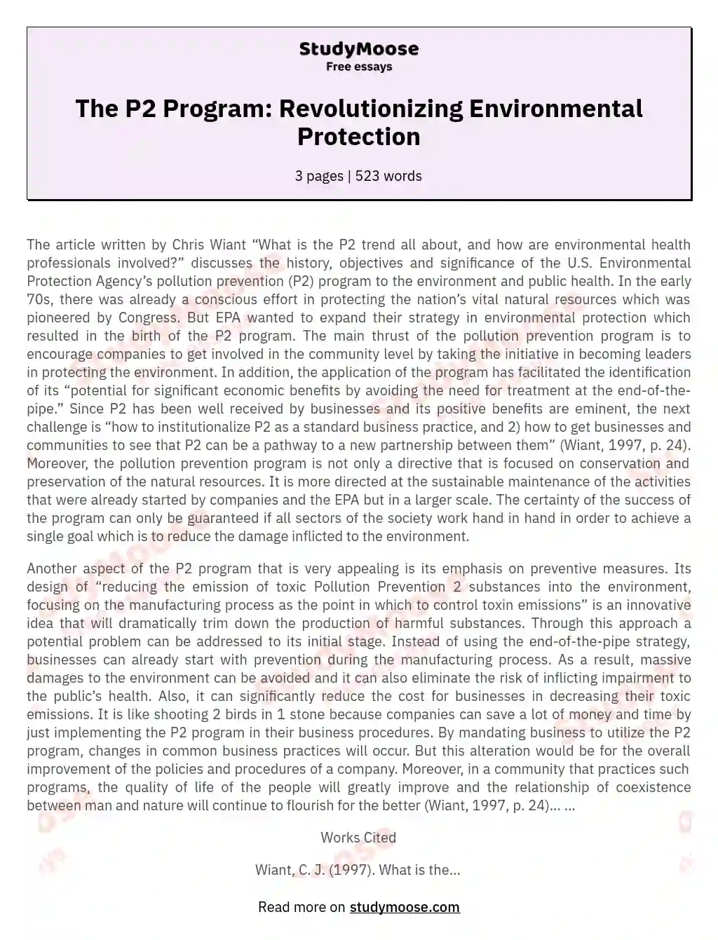 The P2 Program: Revolutionizing Environmental Protection essay