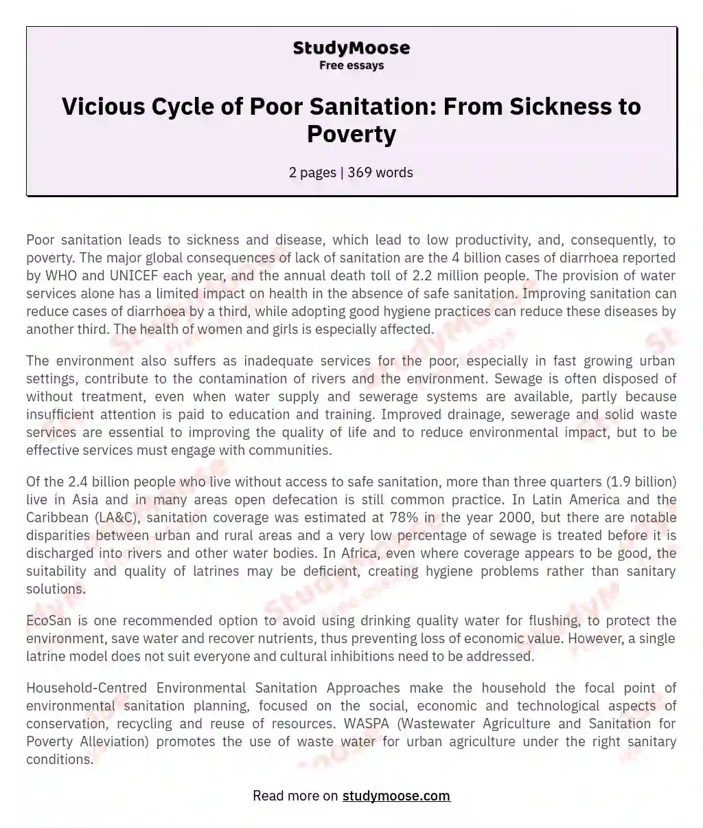 Vicious Cycle of Poor Sanitation: From Sickness to Poverty essay
