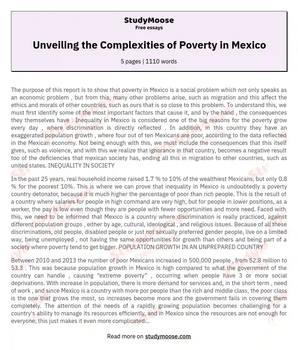Unveiling the Complexities of Poverty in Mexico essay