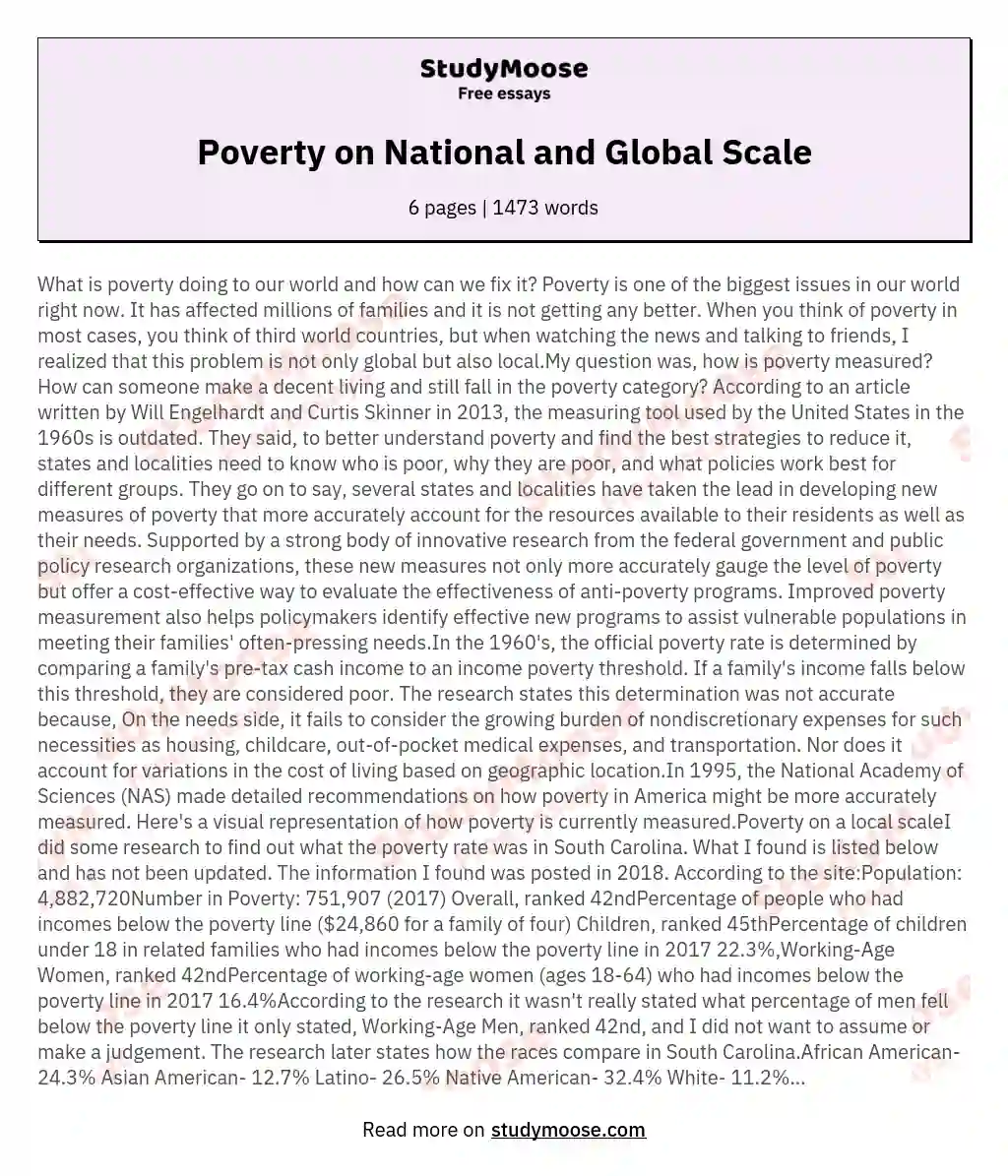 Poverty on National and Global Scale essay