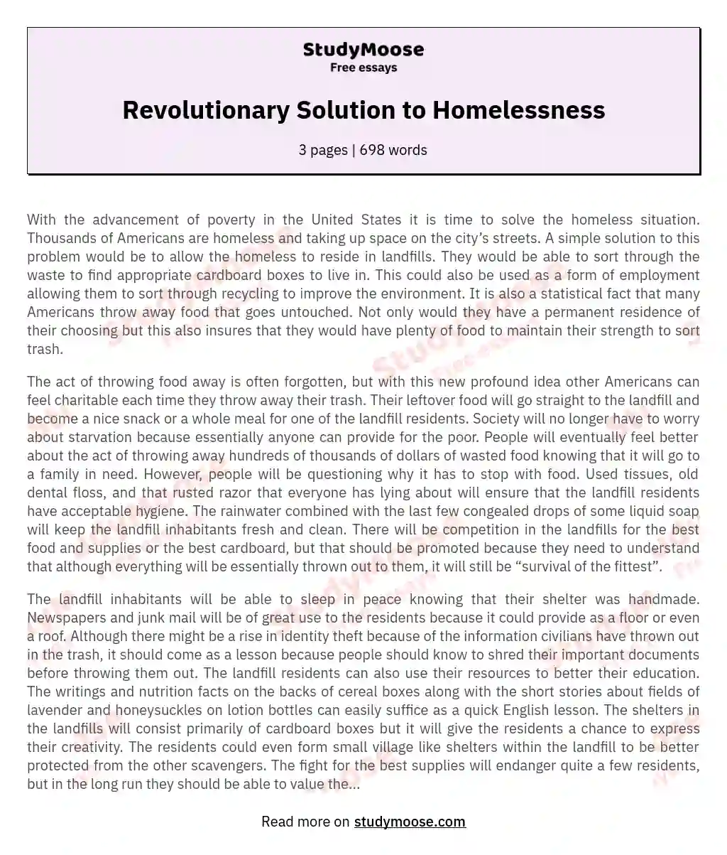 Revolutionary Solution to Homelessness essay
