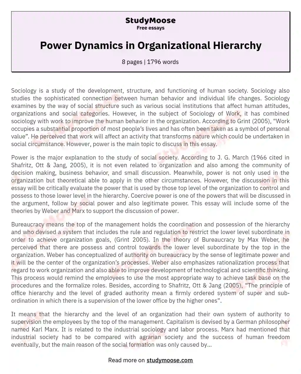 Power Dynamics in Organizational Hierarchy essay