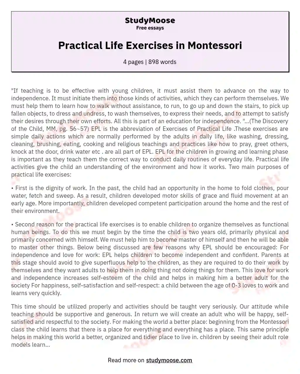 Practical Life Exercises in Montessori essay