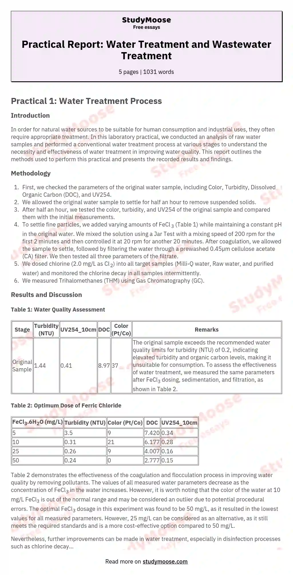 Practical Report: Water Treatment and Wastewater Treatment essay