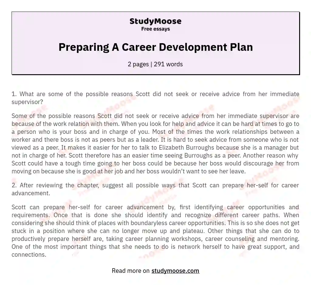 Preparing A Career Development Plan essay