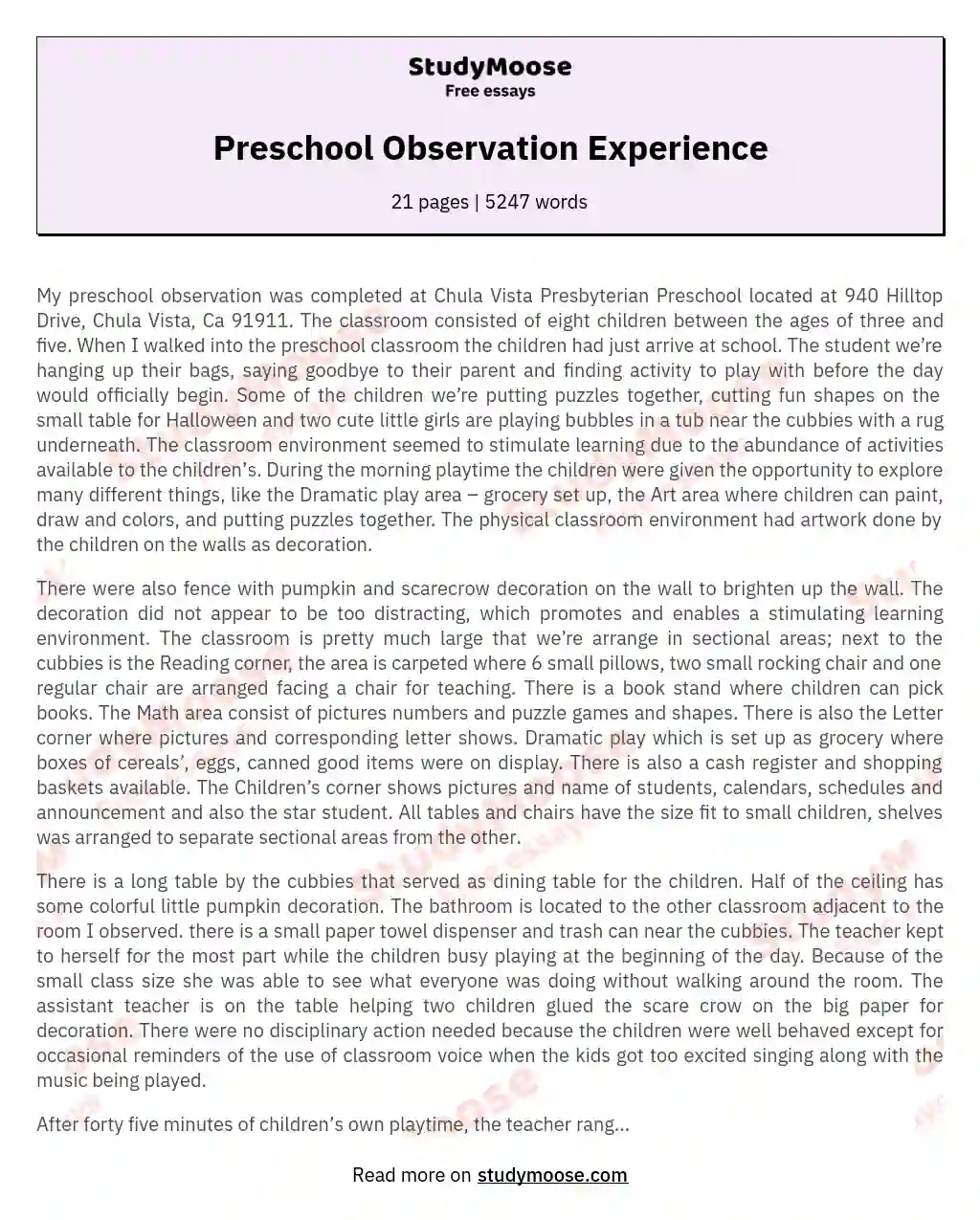 Preschool Observation Experience essay