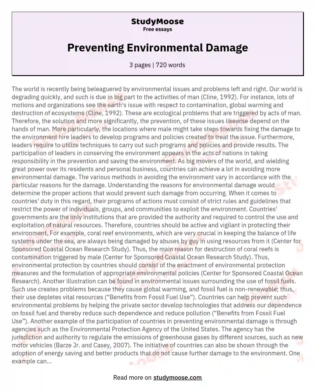 Preventing Environmental Damage essay