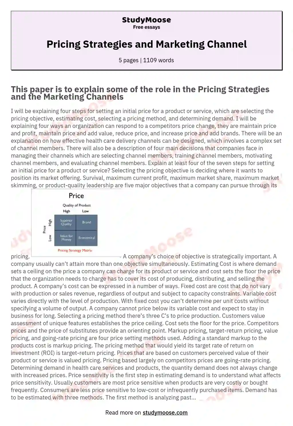 Pricing Strategies and Marketing Channel essay