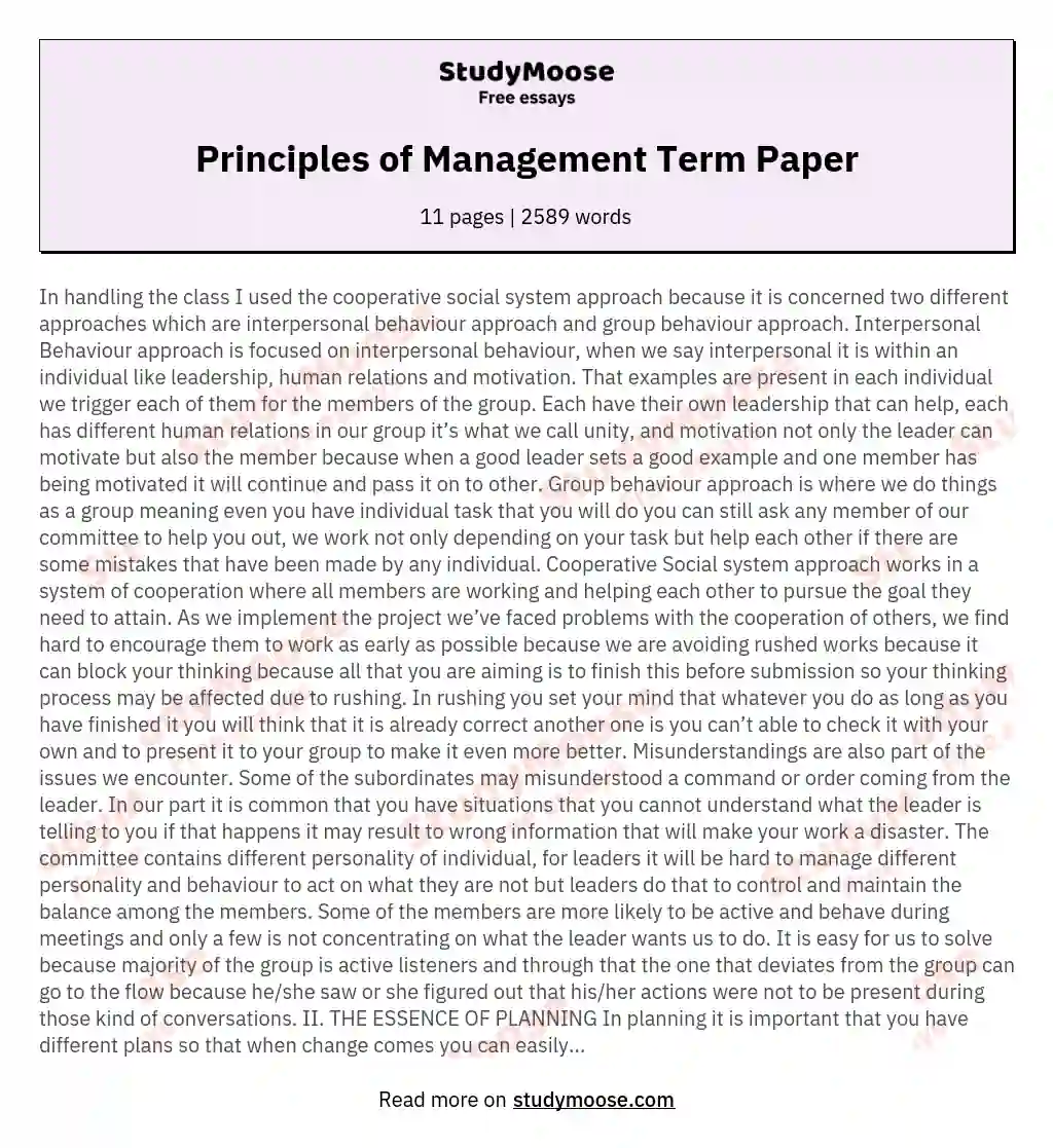 Principles of Management Term Paper essay