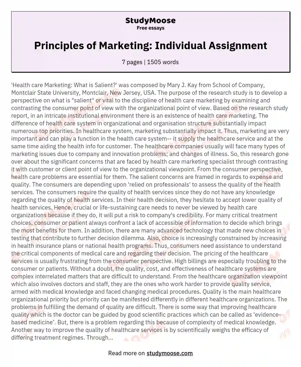 Principles of Marketing: Individual Assignment essay