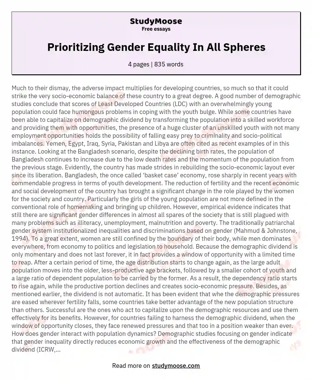 Prioritizing Gender Equality In All Spheres essay