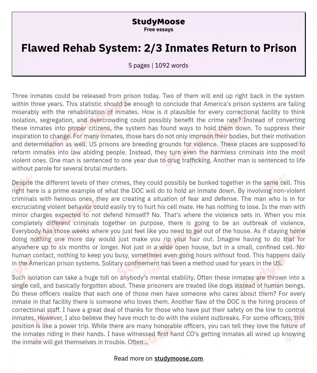 essay on prison reform