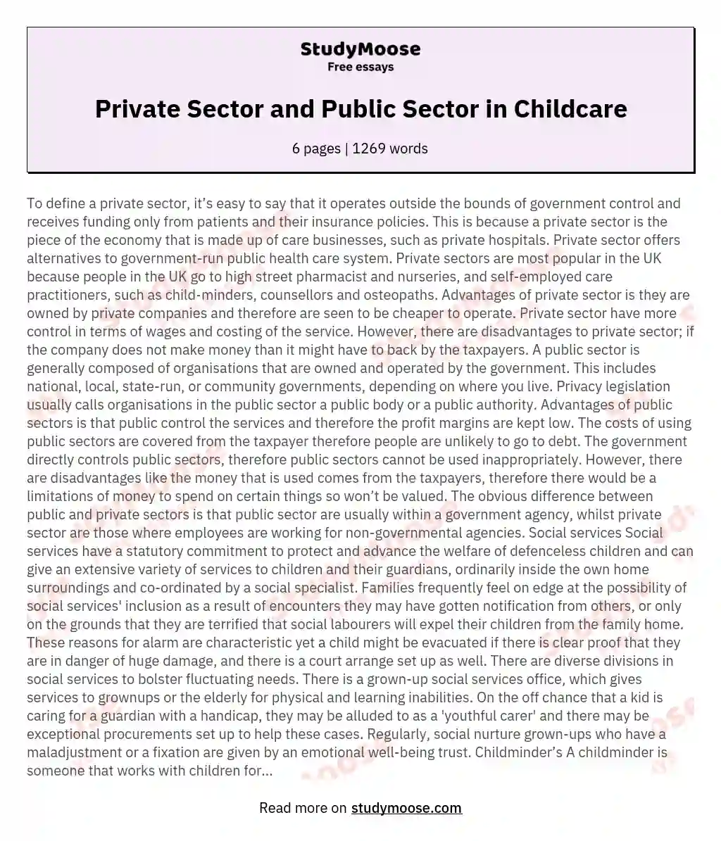 Private Sector and Public Sector in Childcare essay