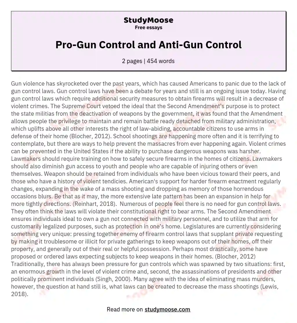 essay on gun control laws