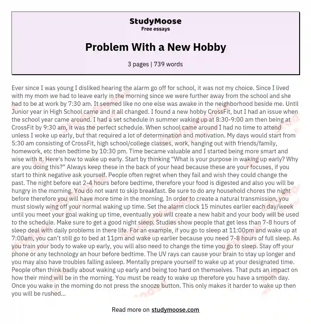 Problem With a New Hobby essay