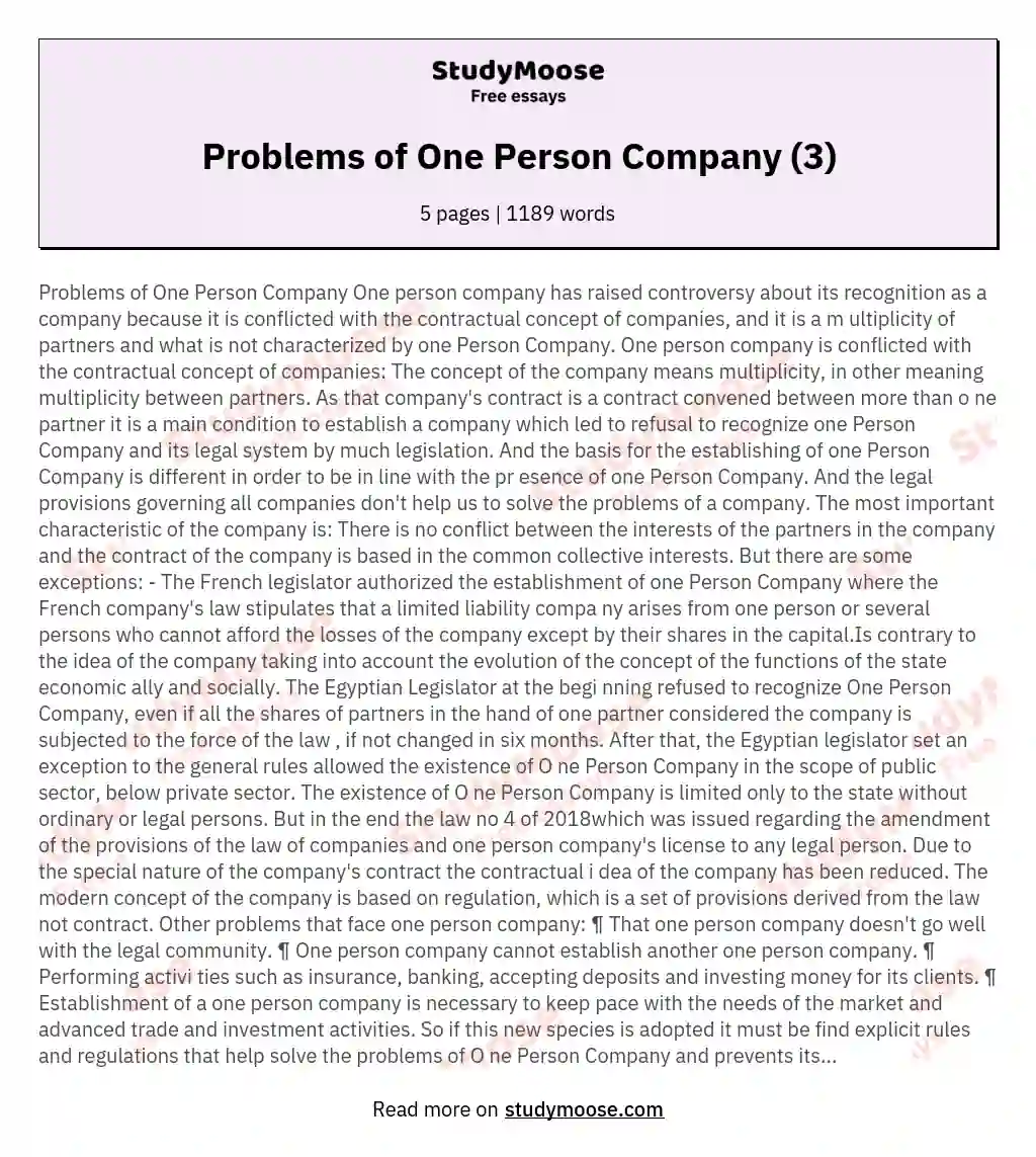 Problems of One Person Company (3) essay