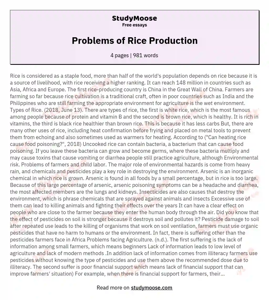 Problems of Rice Production essay