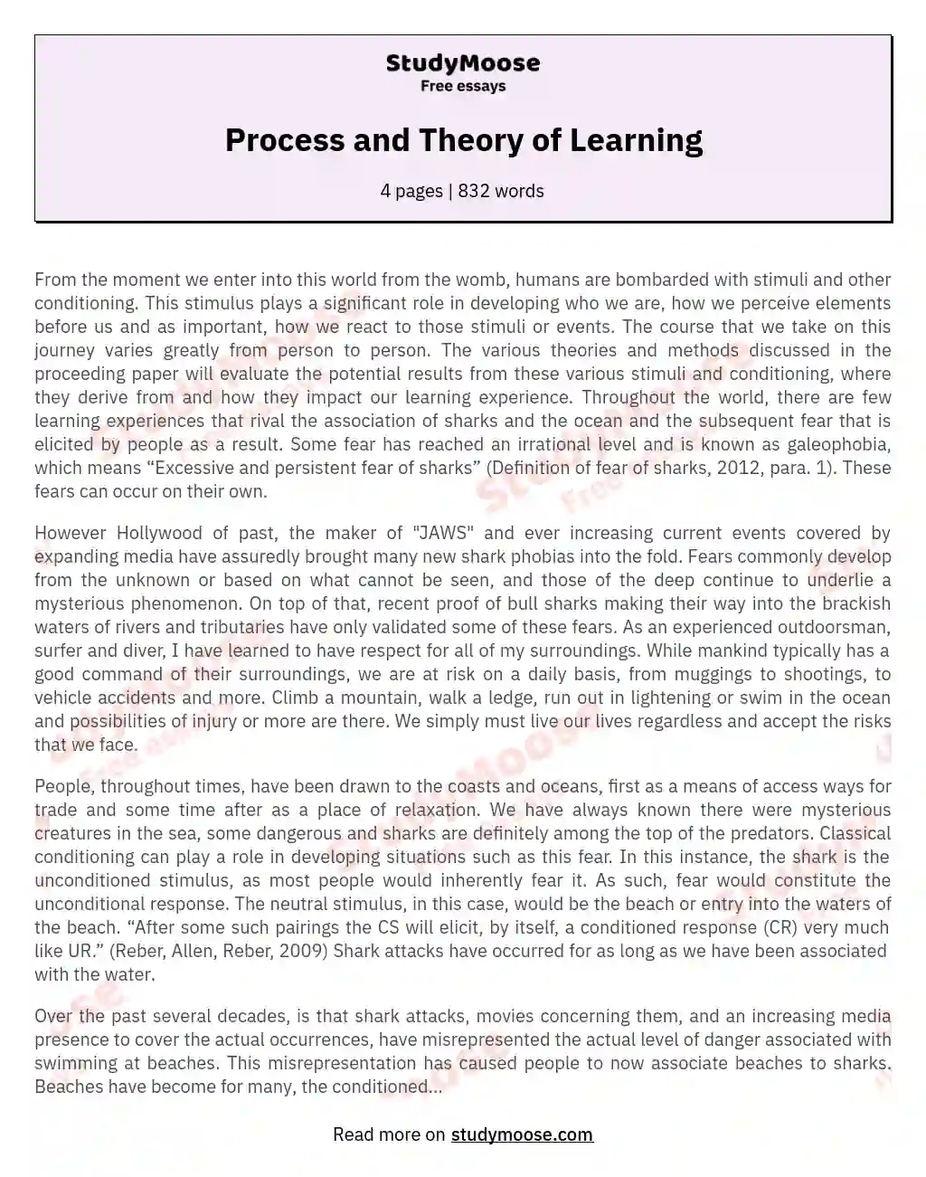 Process and Theory of Learning essay